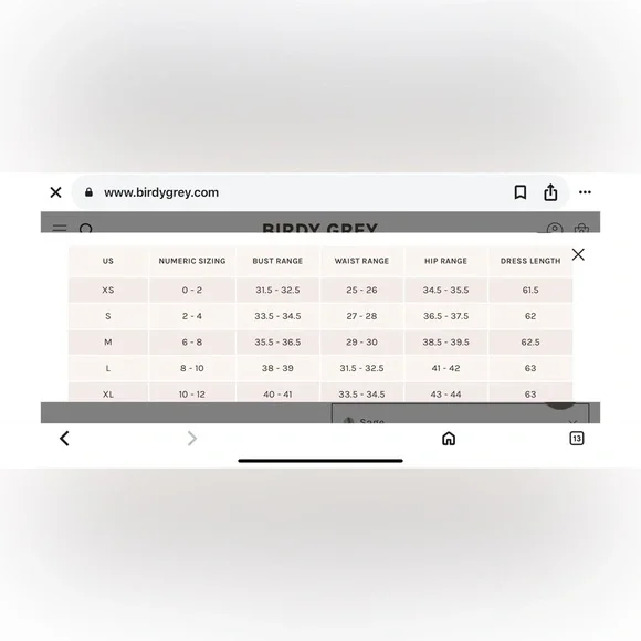 Birdy Grey “Kira” Crepe One-Shoulder Sage Bridesmaid Gown – Sz S (NWT) - Picture 14 of 14